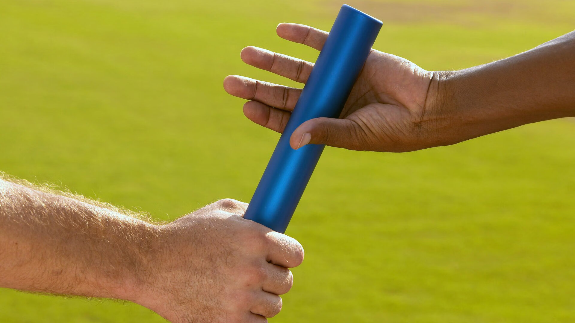 体育教育专业人才培养改革稳步推进,体育教育专业人才培养改革稳步推进